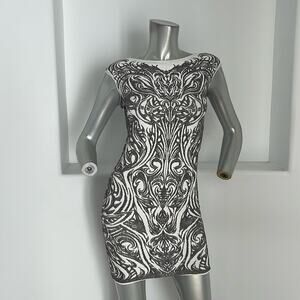 RVN  Phoenix Embroidery Jacquard DressIn Silver Lurex White